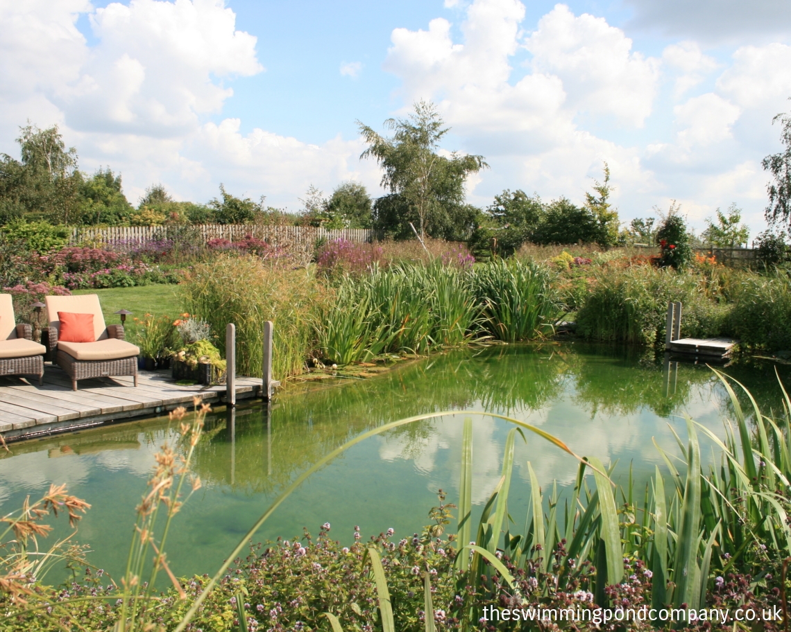 Gallery The Swimming Pond Company Ltd.