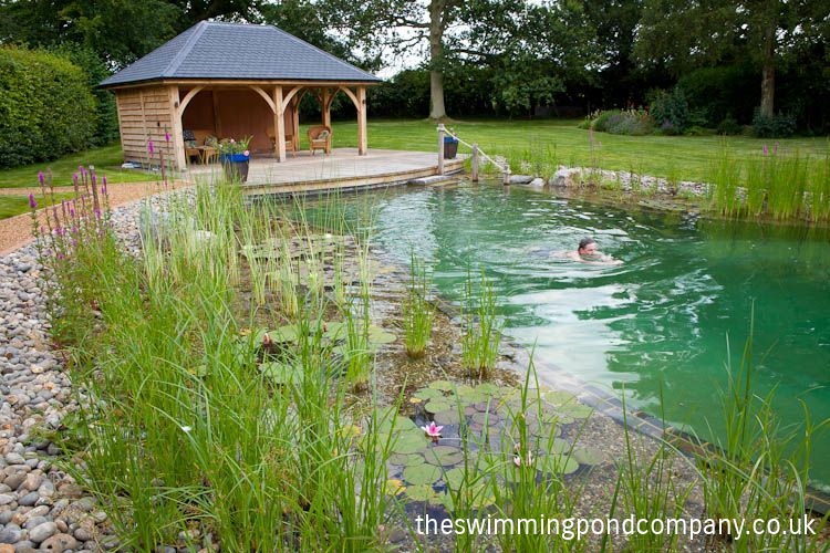 Gallery The Swimming Pond Company Ltd.