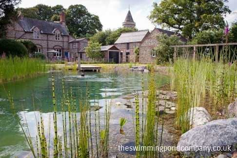 Swimming Pond in Suffolk