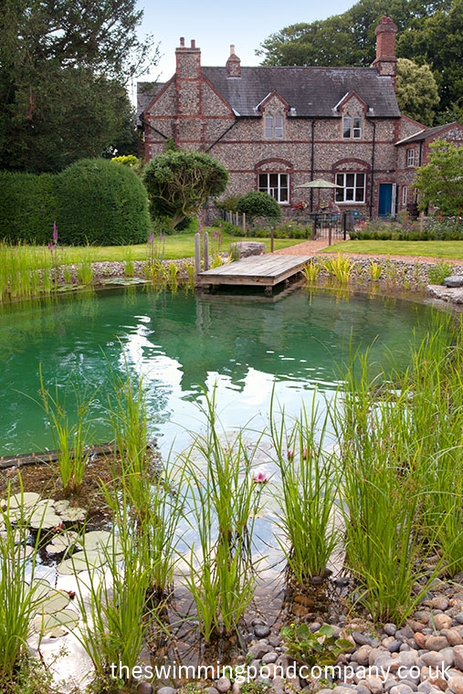 swimming pond carousel image