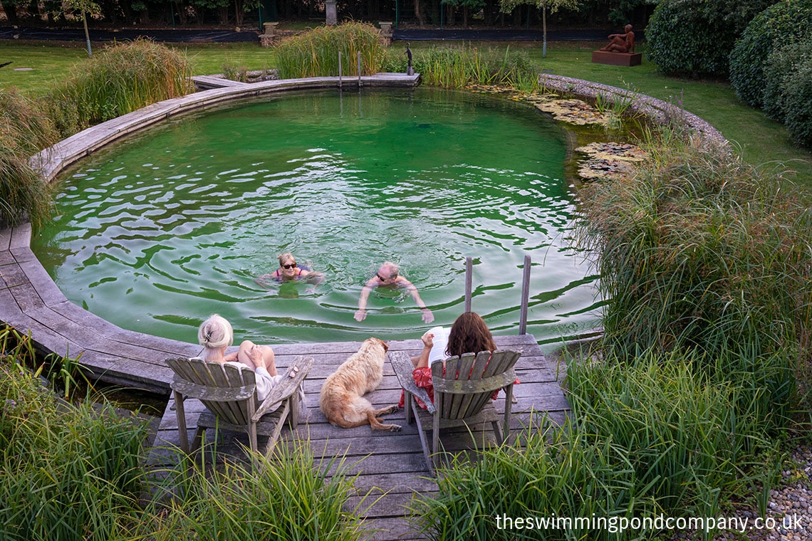 swimming pond carousel image