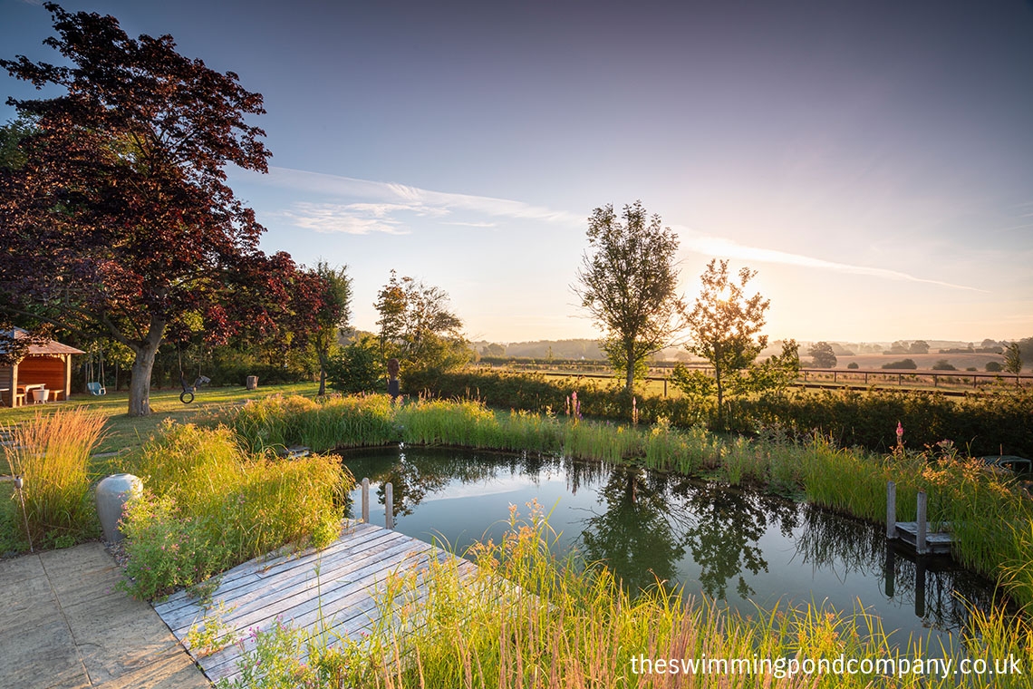 swimming pond carousel image