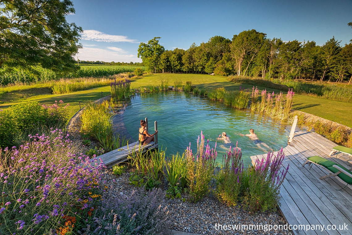swimming pond carousel image